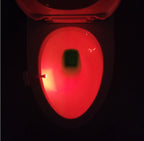 Toilet Induction LED Night Light