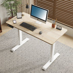Electric Standing Desk Height Adjustable Desk for Home and Office Computer Table Gaming Desk Modern Luxiury Table 55' Lift-up Desk