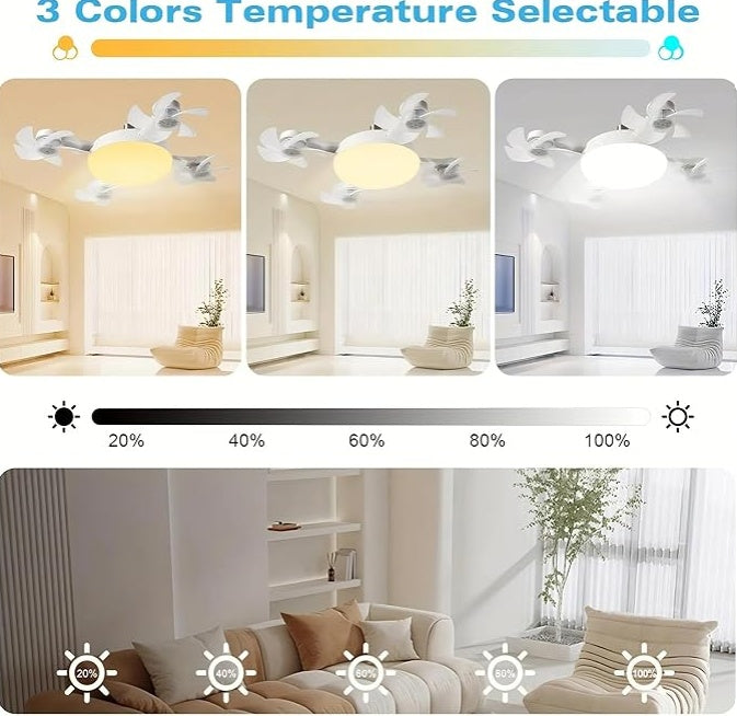 F4- Multifunctional Fan Light
