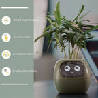 Smart Planter Endless Fun Over 49 Rich Expressions 7 Smart Sensors And AI Chips Make Raising Plants Easy And Fun Green Small