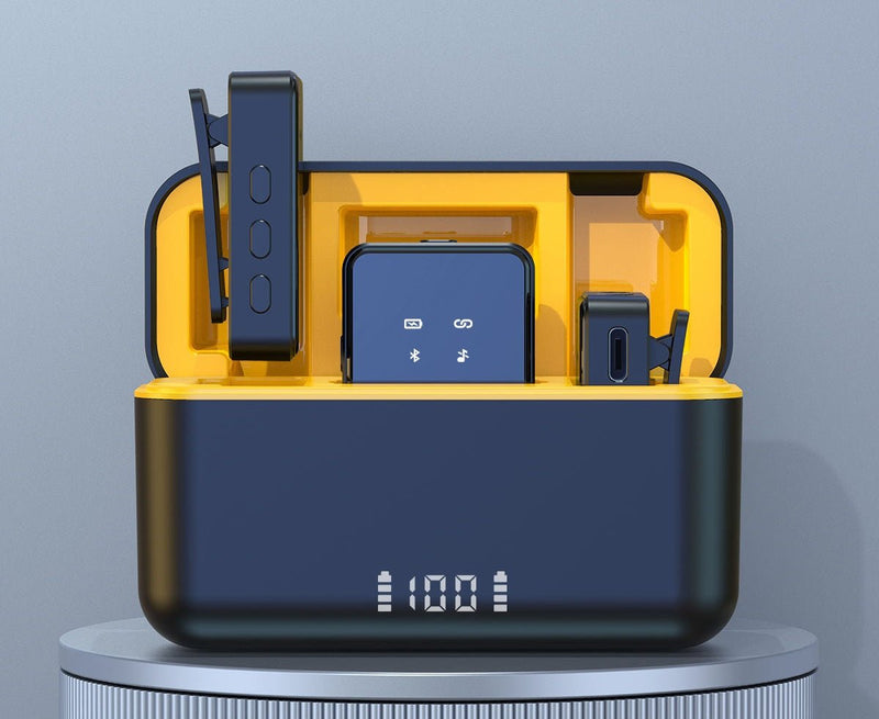 Wireless Microphone Kit Microphone