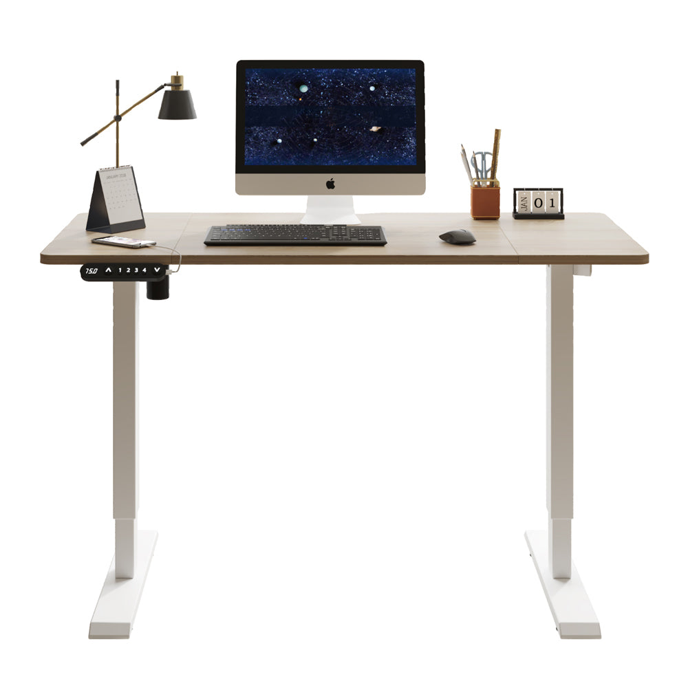 Electric Standing Desk Height Adjustable Desk for Home and Office Computer Table Gaming Desk Modern Luxiury Table 55' Lift-up Desk