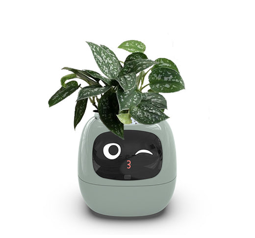 Smart Planter Endless Fun Over 49 Rich Expressions 7 Smart Sensors And AI Chips Make Raising Plants Easy And Fun Light Green Small